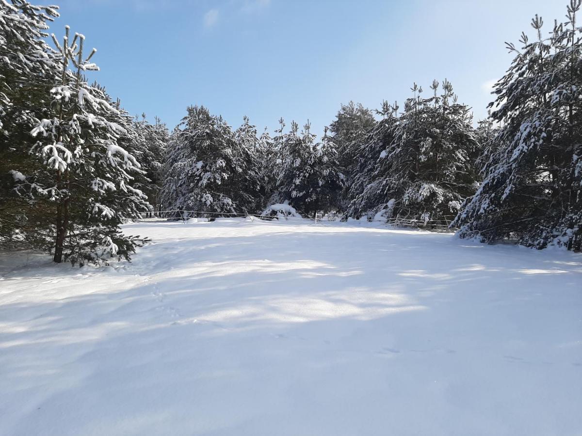 Agroturystyka Zubr Βίλα Siemianowka Εξωτερικό φωτογραφία